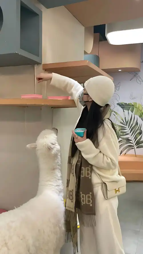 免费观看小说亚洲色伊人婷婷男人的天堂剧情，沉浸式阅读与追番推荐